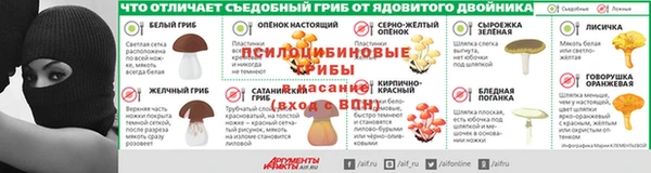 apvp Богородицк